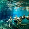 Kikuletwa Hot Springs