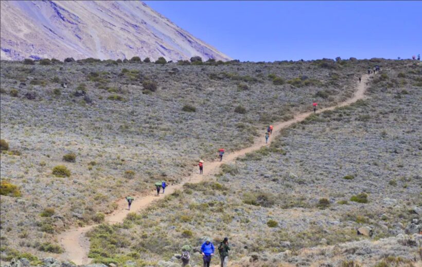 The Whiskey Route: A Trek up the Kilimanjaro