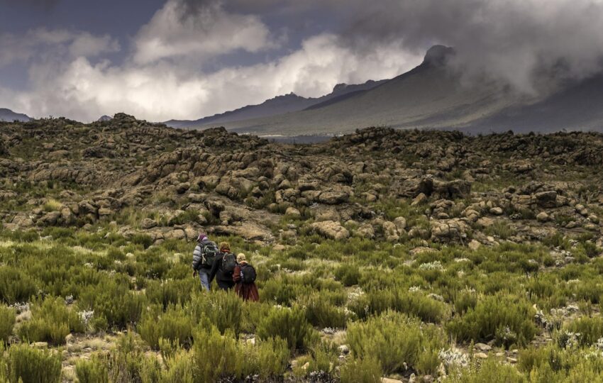 Mt.Kilimanjaro Via The Shira Route, An Epic Adventure | DeMi Tours & Travel