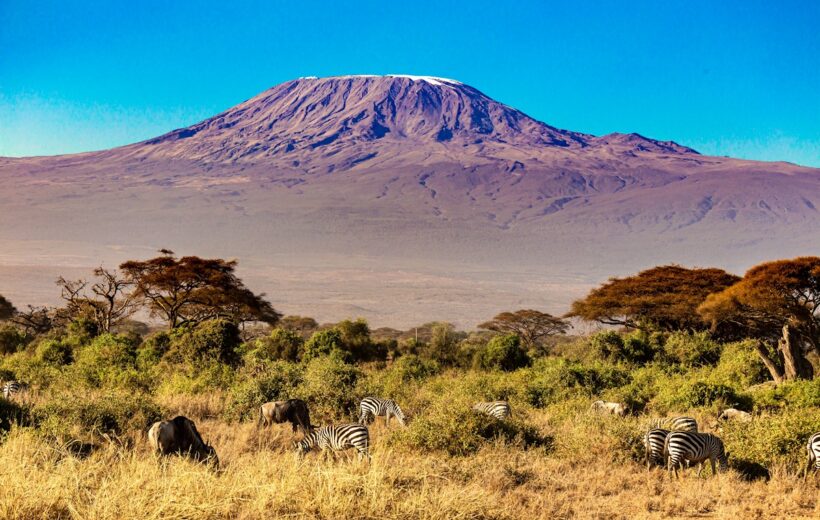 Wildlife and Scenery, Magical Kenya at its best