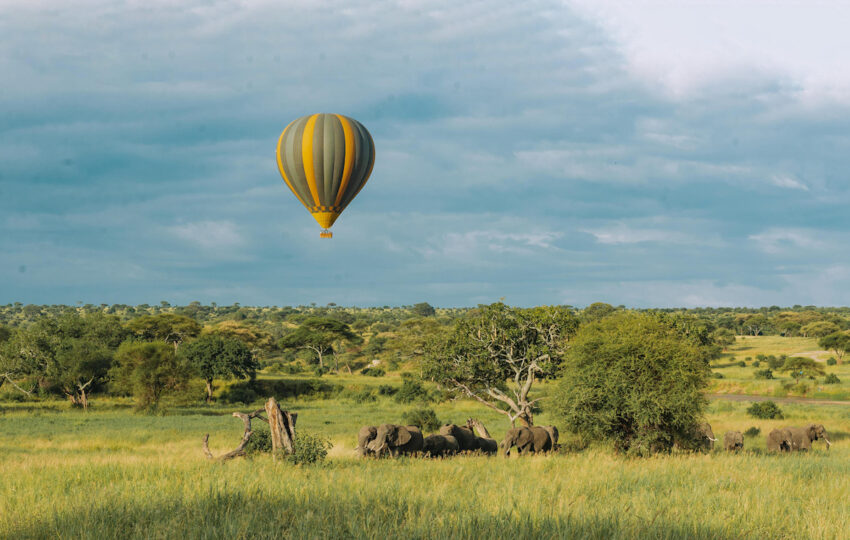 hot air balloon