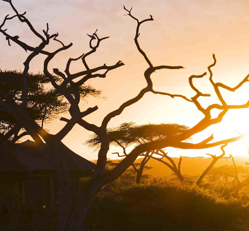 Big Five Safari and Beach,sunset in the park