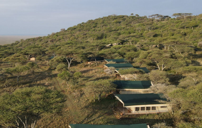 tented camp woodland