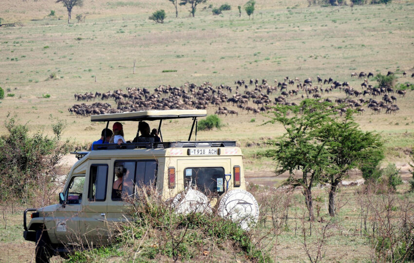 game drive