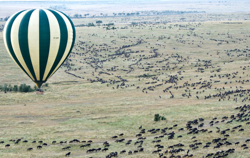 hot air balloon