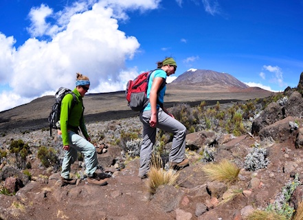 Ascending Mt. Kilimanjaro