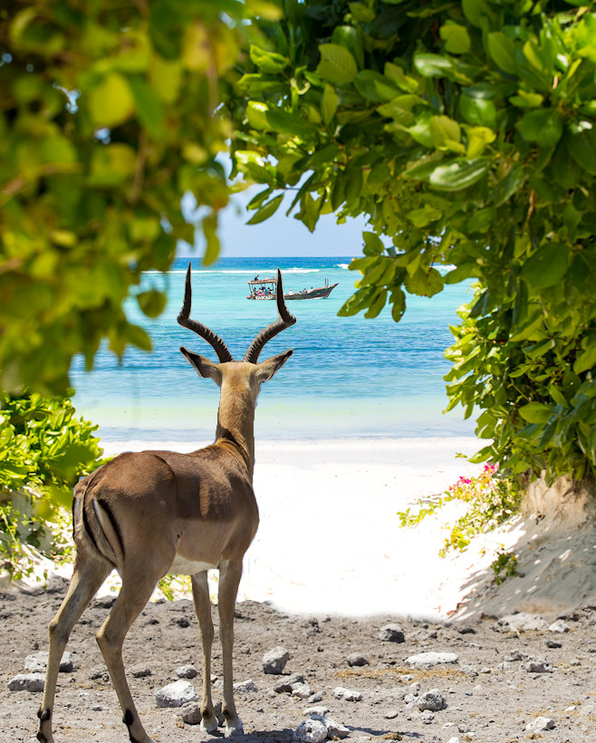 Safari Beach Holidays